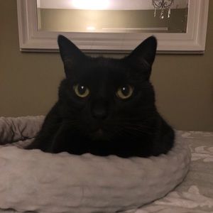 Meet your Posher, Barri